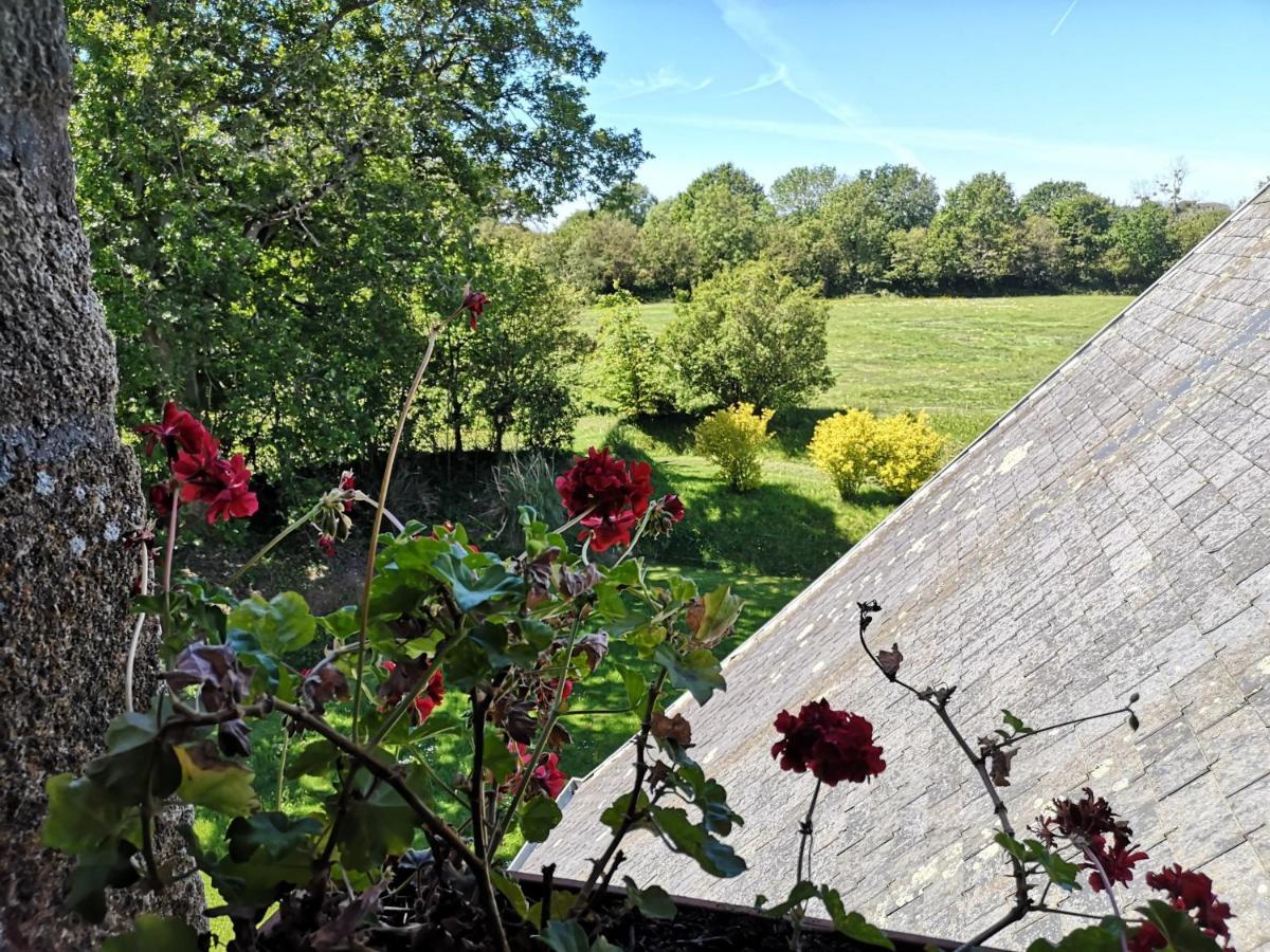 Bed and Breakfast Manoir De La Foulerie Ancteville Esterno foto